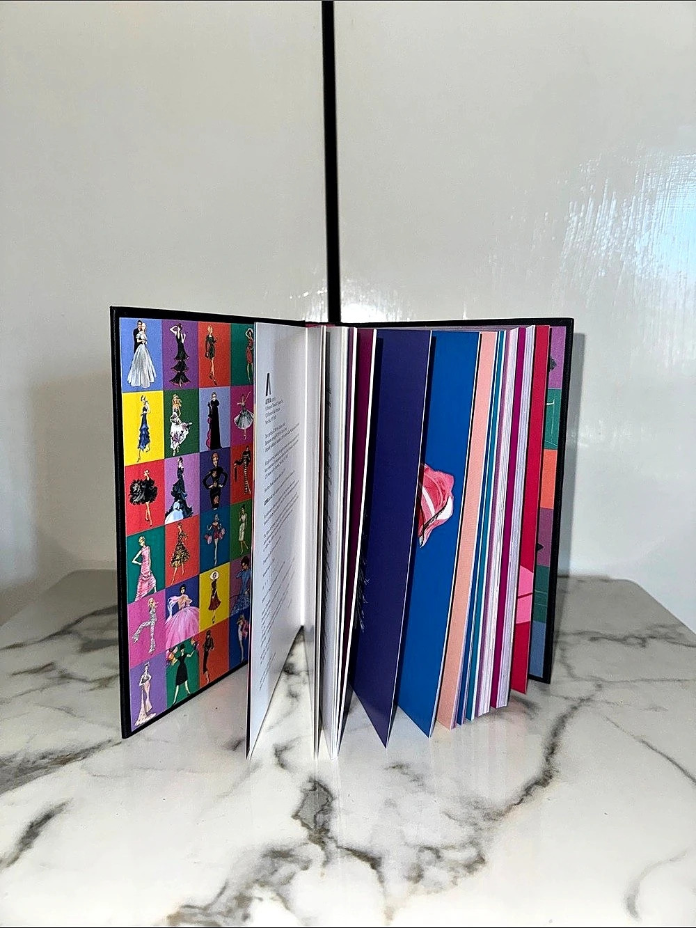 Dreaming Of Dior by Charlotte Smith Fashion Book